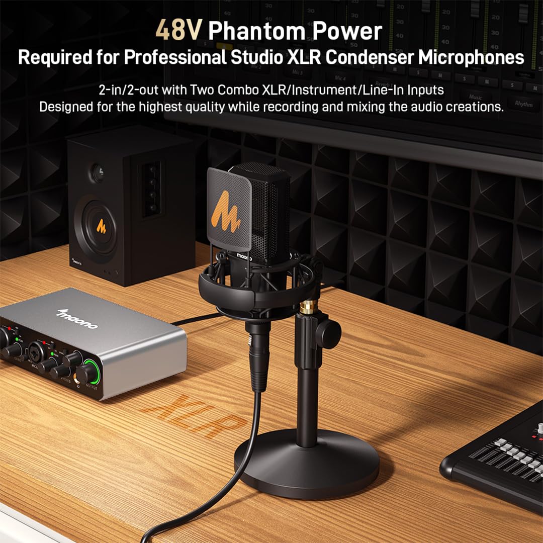 PS22 Audio Interface