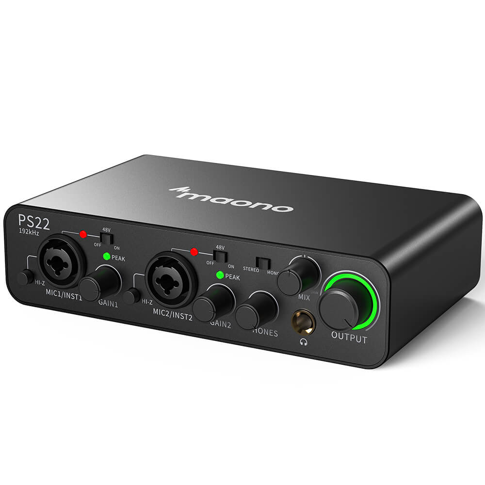 PS22 Audio Interface
