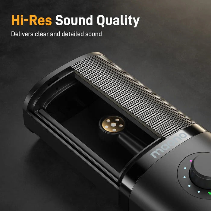 Microphone USB PM450S pour enregistrements en studio et podcasting