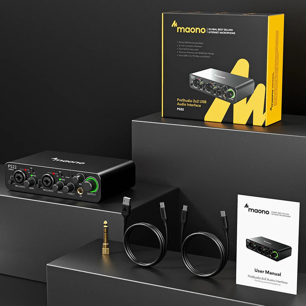 PS22 Audio Interface