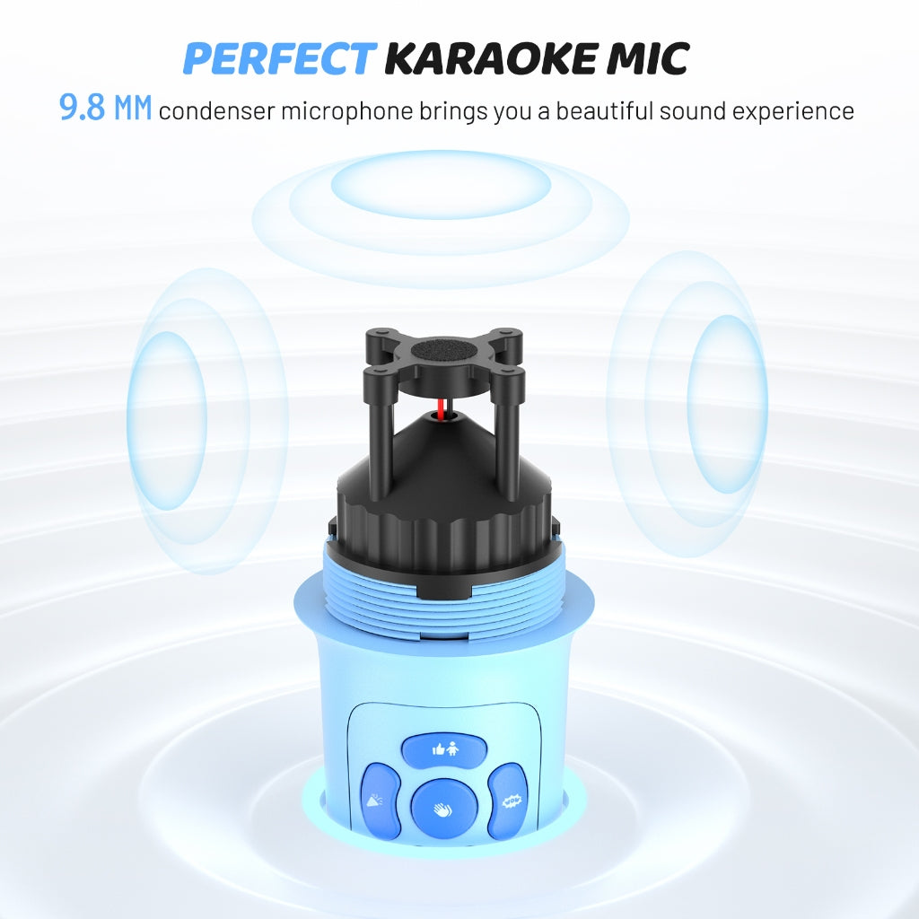 Karaoke Box KM100